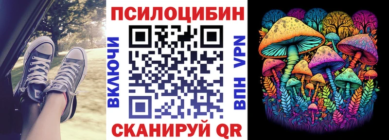 даркнет сайт  Олёкминск  кракен ссылки  Галлюциногенные грибы Magic Shrooms 